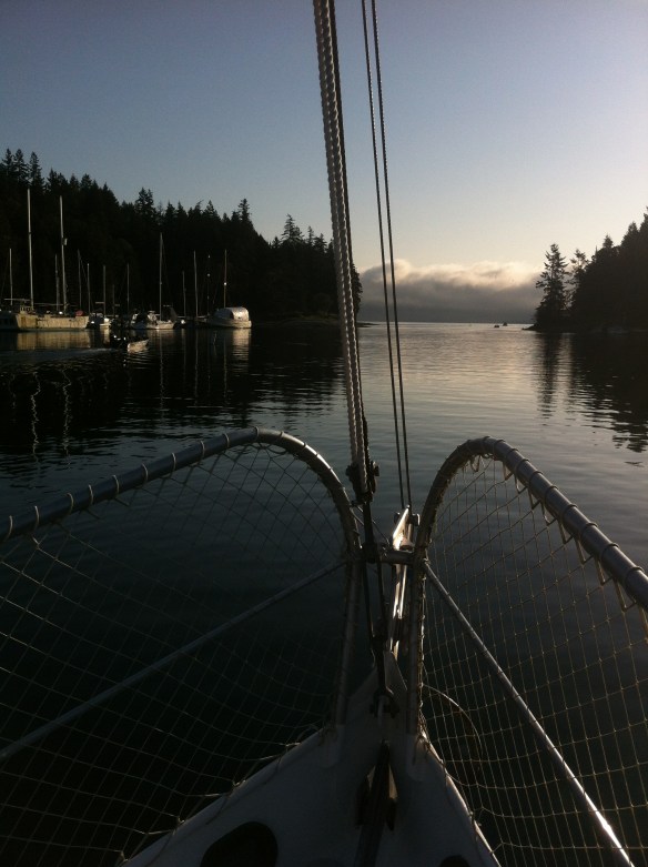 Setting out from the marina in the cool dawn